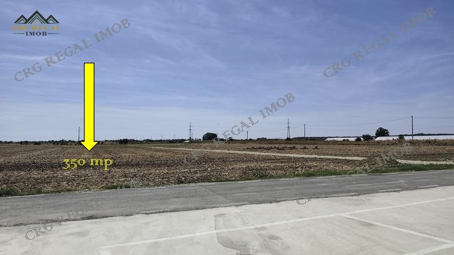 Teren Construcții intravilan de 300 mp, în Berceni