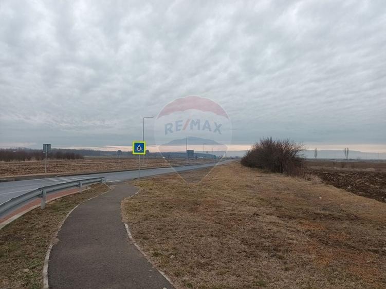 Teren Construcții intravilan de 1350 mp, în Brănești