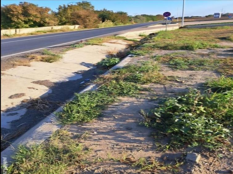Teren agricol intravilan de 18000 mp, în Apollo