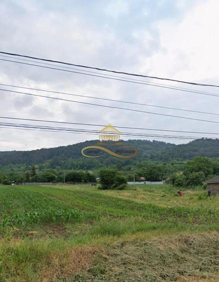 Teren Construcții intravilan de 3796 mp, în Tamași