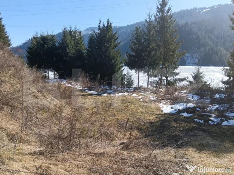 Teren intravilan de vanzare 3100 mp Colibita, front lac - 3