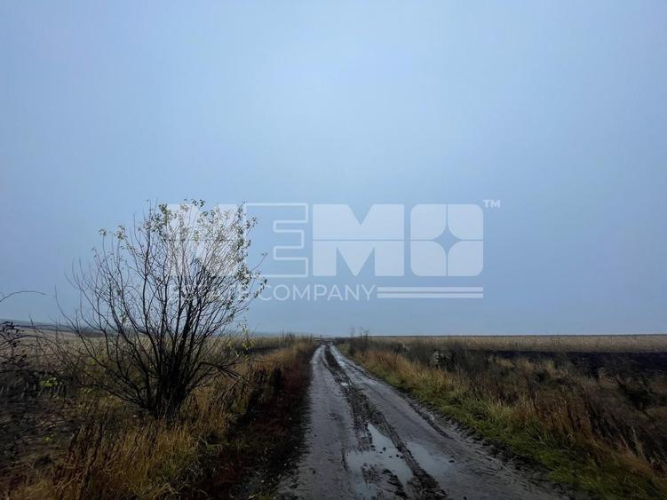 Teren agricol extravilan de 700 mp, în Calafindești