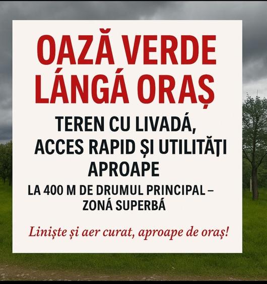 Spațiu comercial, în Negrești-Oaș