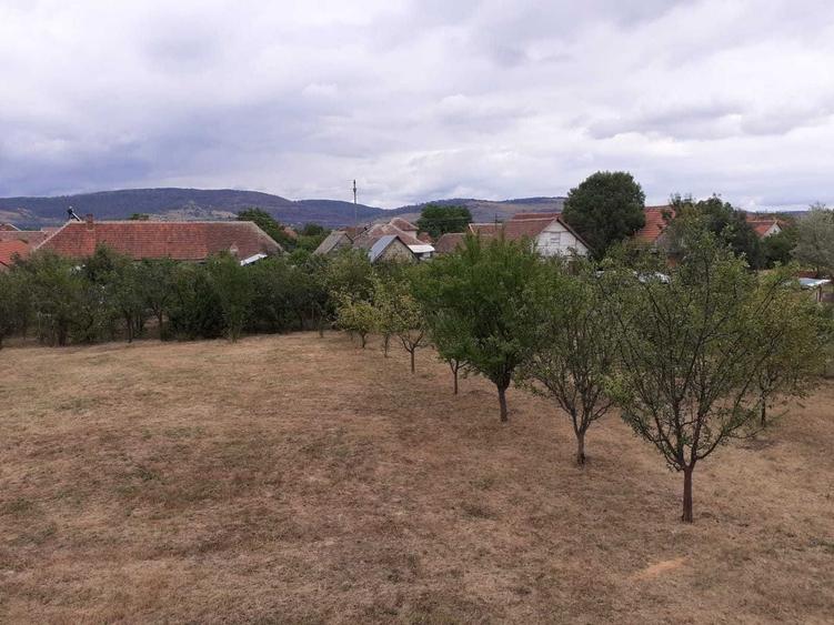 Casă cu 4 camere cu Teren 2000 Mp în Buteni