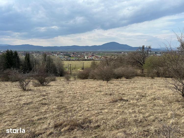 Teren de 6000 mp, în Cristian