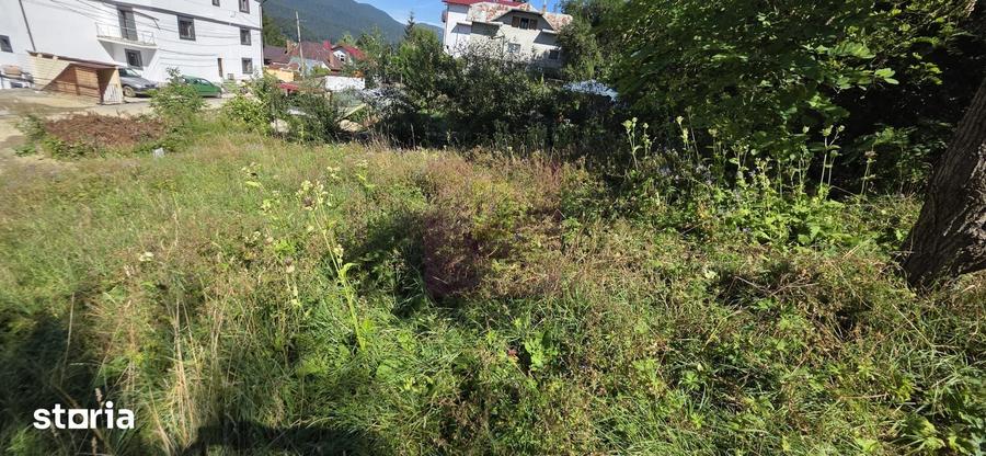 Teren de 288 mp, în Zamora