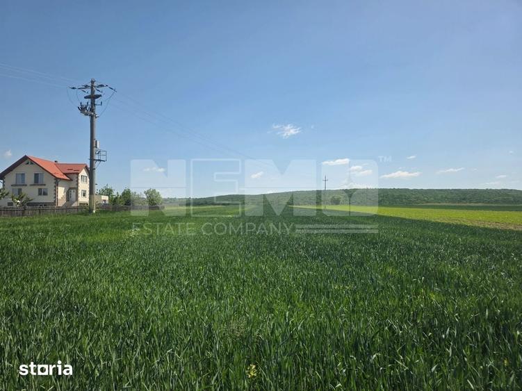 Teren de 2600 mp, în Mitocu Dragomirnei
