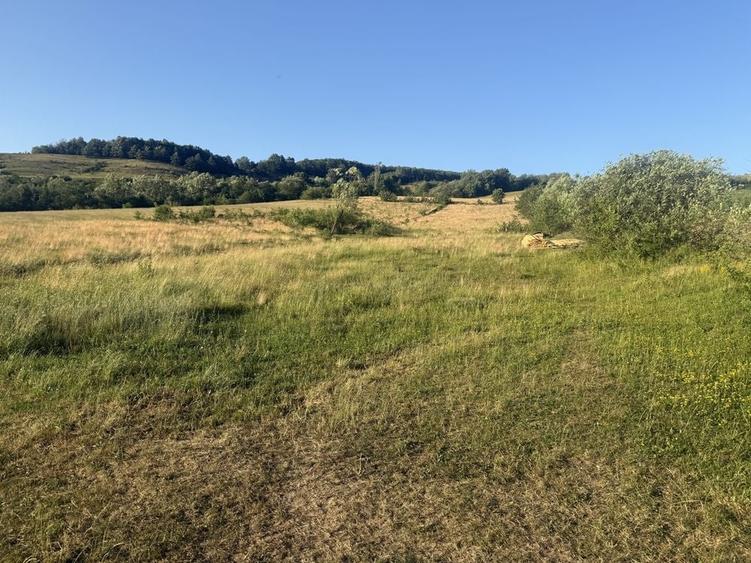 Teren de 7300 mp, în Șardu