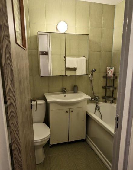 Apartament 2 camere decomandat Raul Doamnei, Drumul Taberei - 9