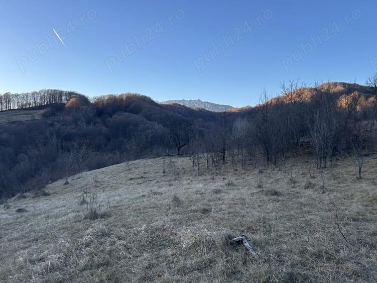 Teren de 4000 mp, în Gurguiata