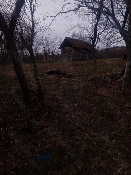 Teren în Cârșie