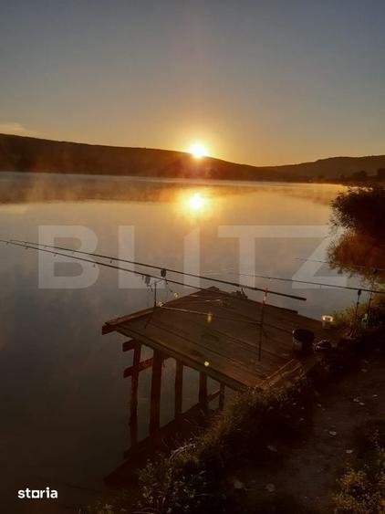 Oportunitate investitionala-Proprietate cu lac privat in Geaca - 8