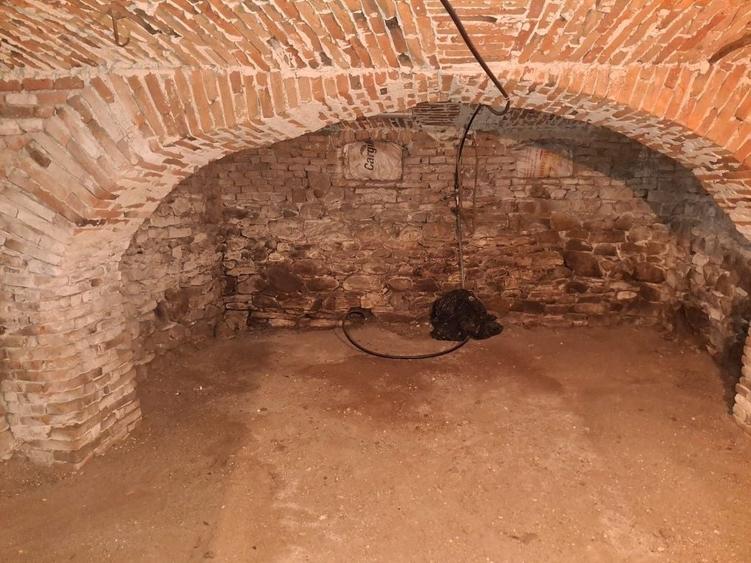 Casă cu 2 camere în Săliște