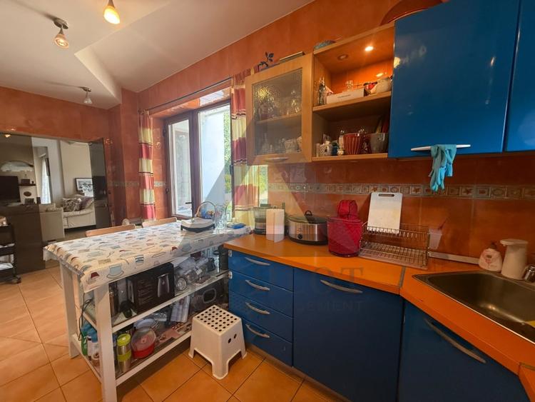Duplex cu 10 camere cu Piscina în Iancu Nicolae