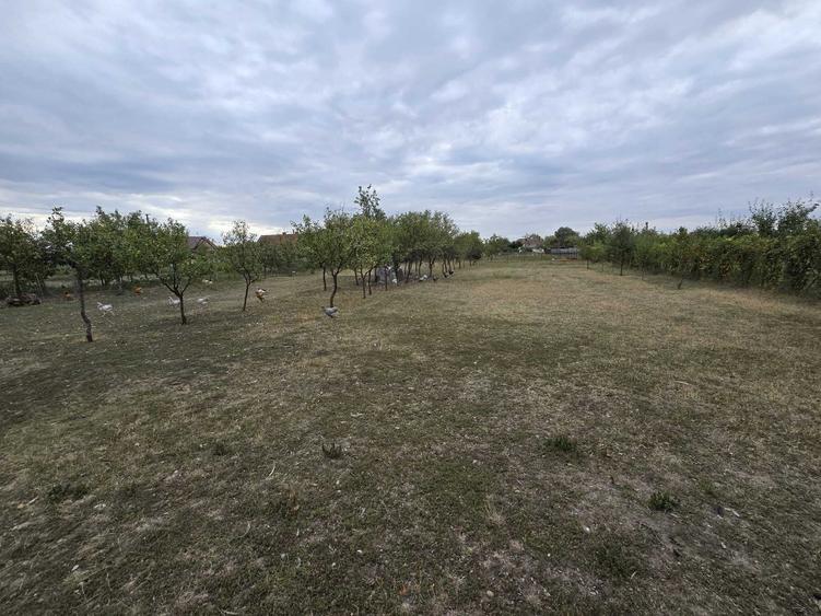 Casă cu 4 camere în Turnu