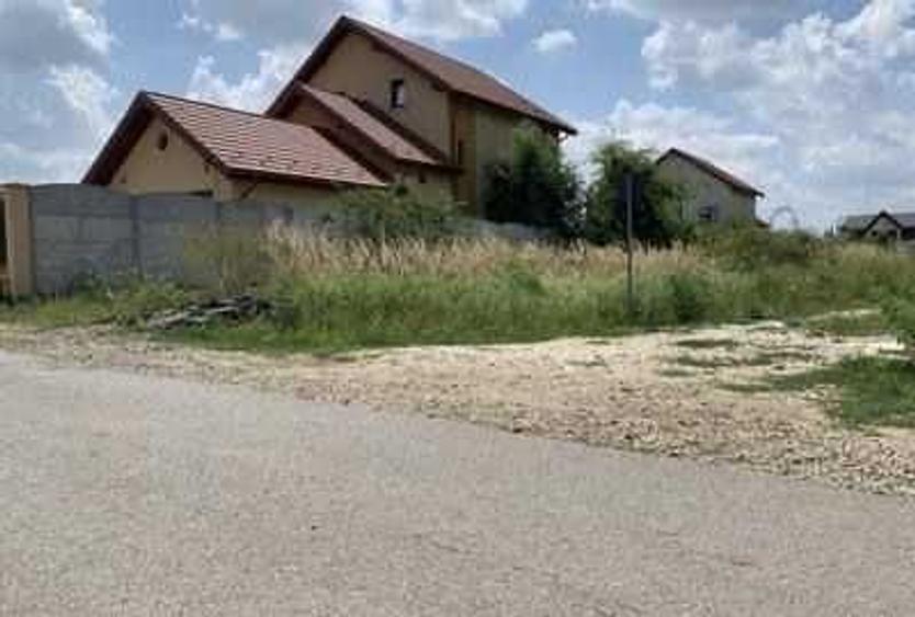 Spațiu comercial, în Domnești