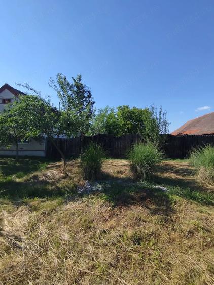 Teren de 1300 mp, în Central