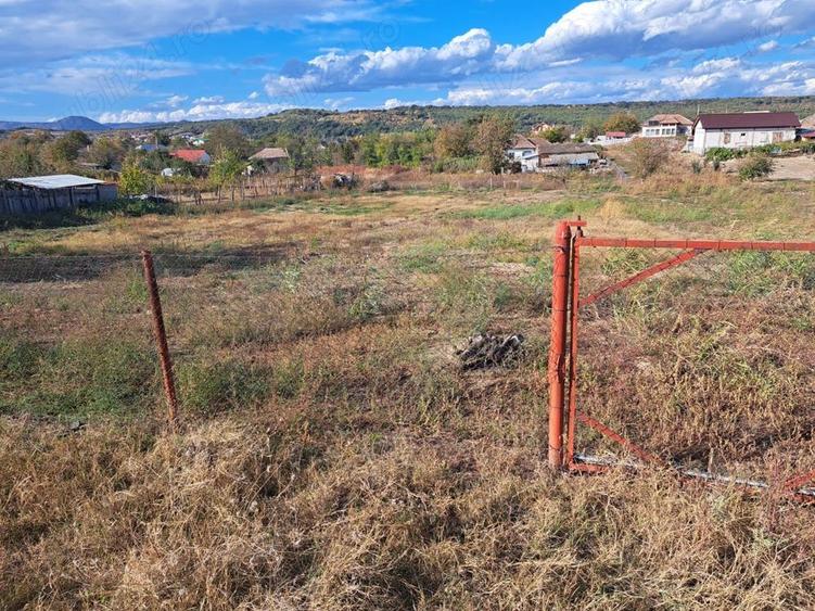 Teren de 5000 mp, în Vrancea