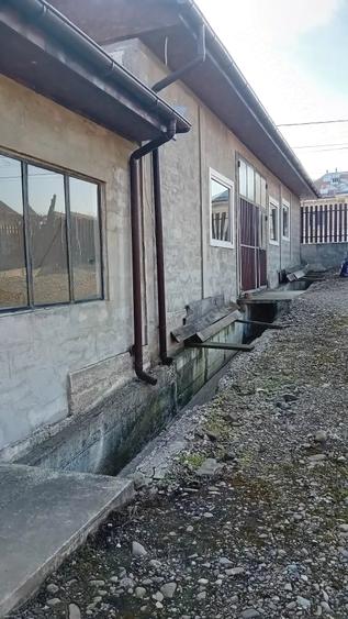Casă cu Teren 1500 Mp în Târpești