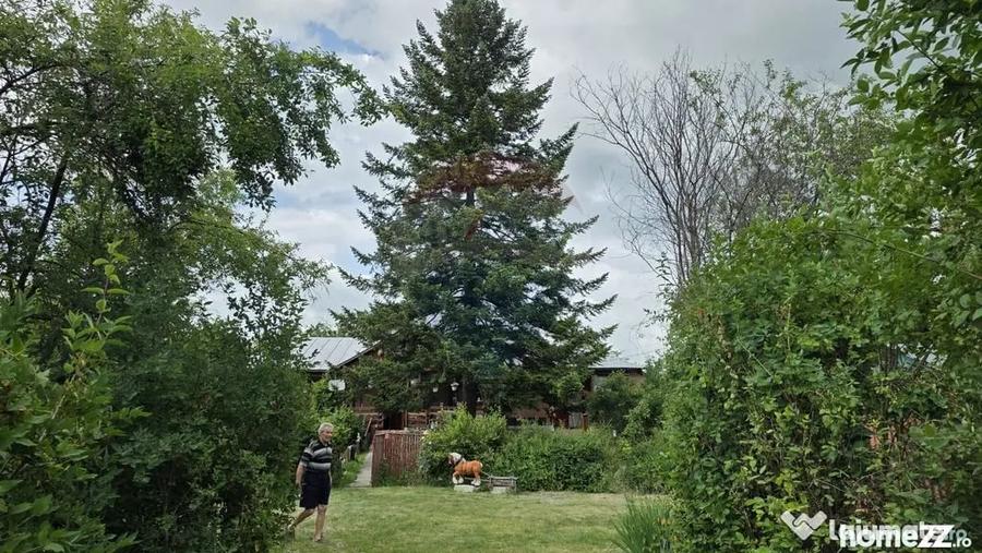 Casă cu 3 camere cu Teren 5063 Mp în Uzunu