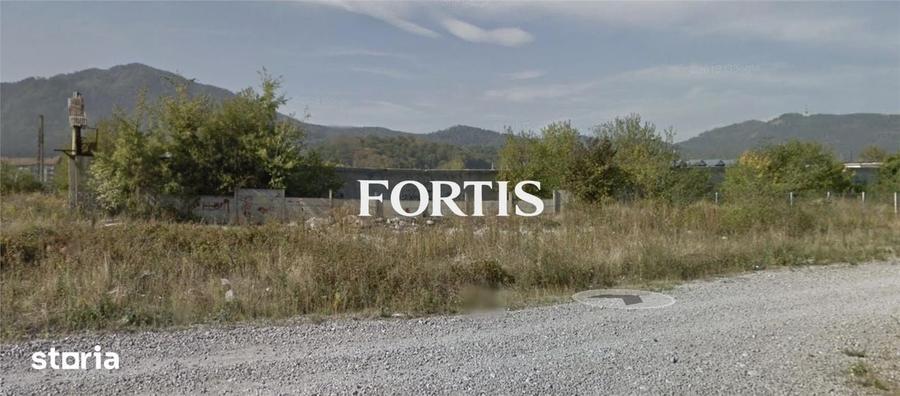 Teren de 298 mp, în Dârste