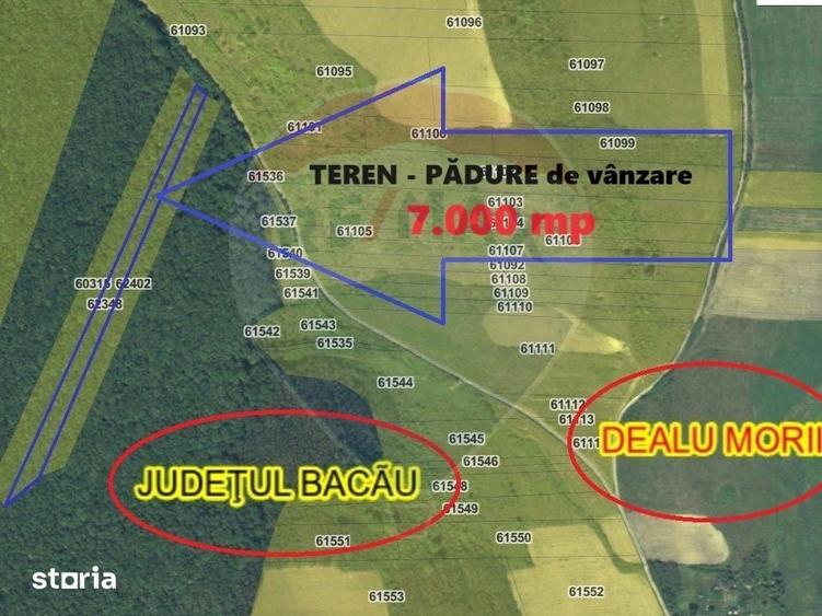Teren de 7000 mp, în Dealu Morii