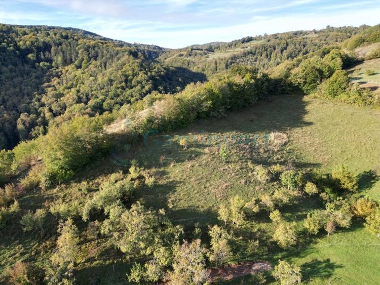 Teren agricol intravilan de 1400 mp, în Șuncuiuș