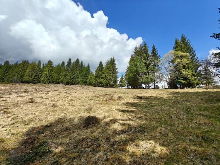 Teren Construcții intravilan de 1500 mp, în Beliș