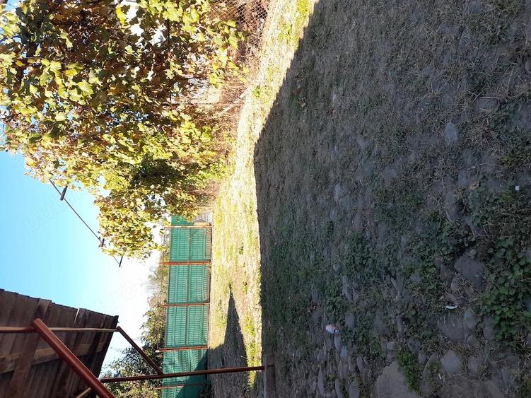 Casă cu 4 camere cu Teren 1787 Mp în Filipeștii de Târg