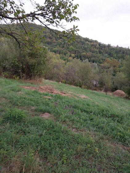 Casă cu Teren 15000 Mp în Bisoca