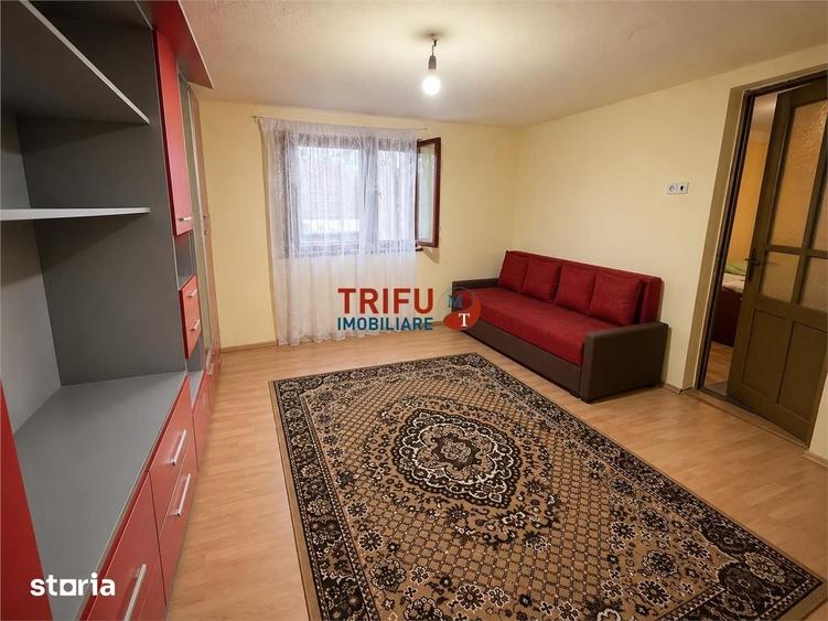 Casă cu 2 camere cu Teren 800 Mp în Meteș