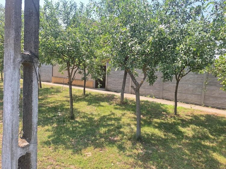 Casă cu Teren 5095 Mp în Călacea