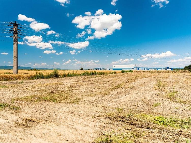Teren Construcții intravilan de 3975 mp, în Hălchiu