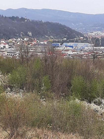 Spațiu comercial, în Aranghel
