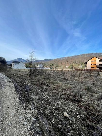 Teren Construcții intravilan de 1000 mp, în Săcele