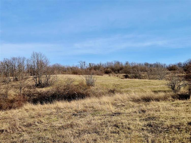 Teren agricol extravilan de 10000 mp, în Tomești