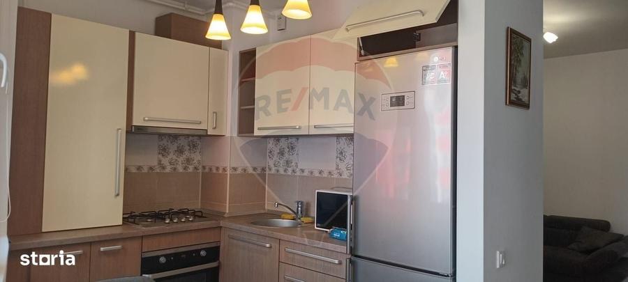 Apartament cu 2 camere de inchiriat Bloc Nou -ARED zona Banu Maracine - 16