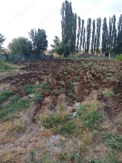 Casă cu Teren 1465 Mp în Dulceanca