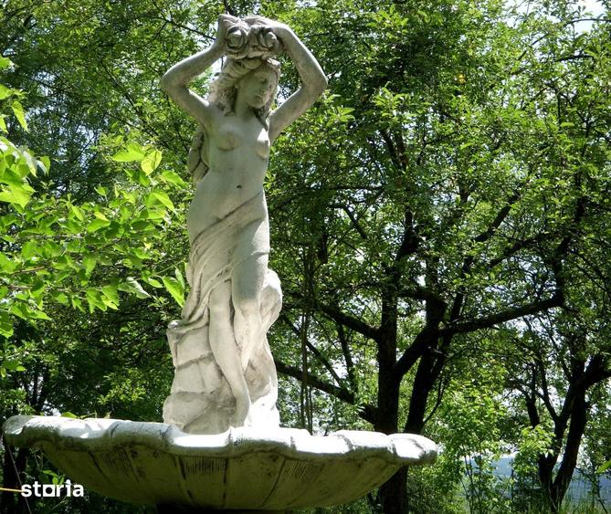 Teren de 14000 mp, în Mihai Viteazu