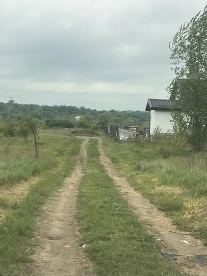 Teren de 7500 mp, în Brestei