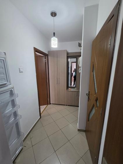 Dristor, 15 minute metrou, Ramnicul Sarat, pe strada Lacramioarei - 10