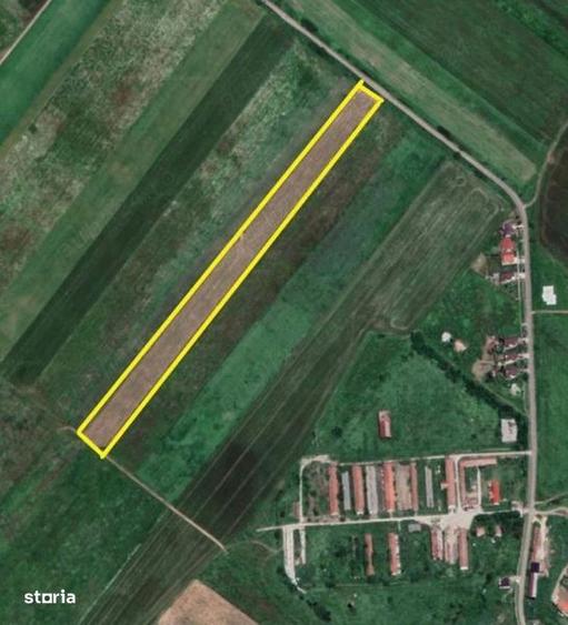 Teren de 28500 mp, în Pișchia