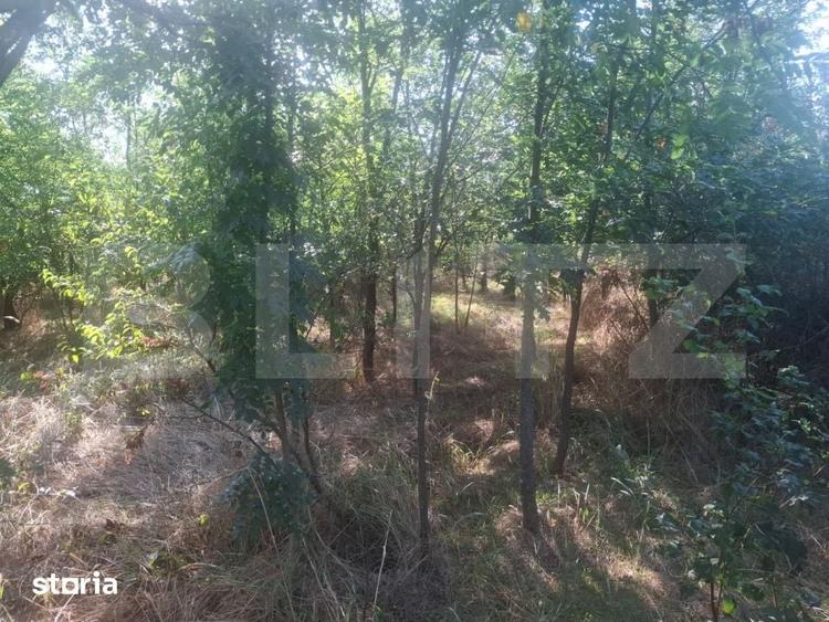 Teren de 5000 mp, în Răzvad