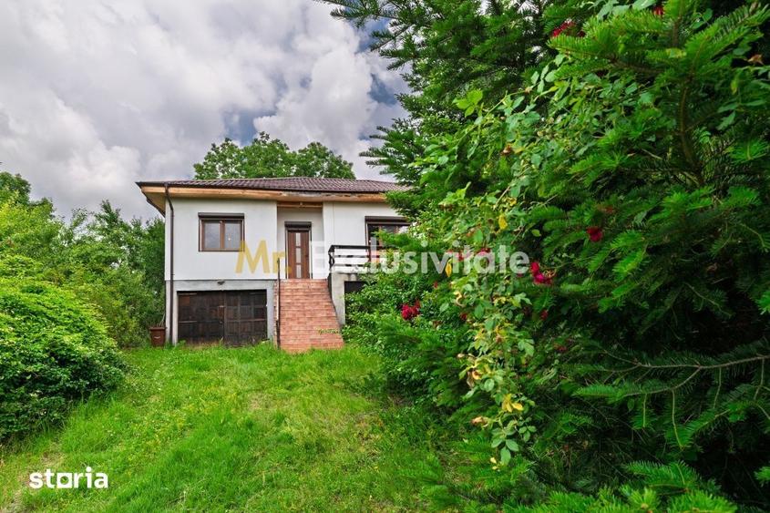 Casă cu 3 camere cu Teren 6290 Mp în Corbi