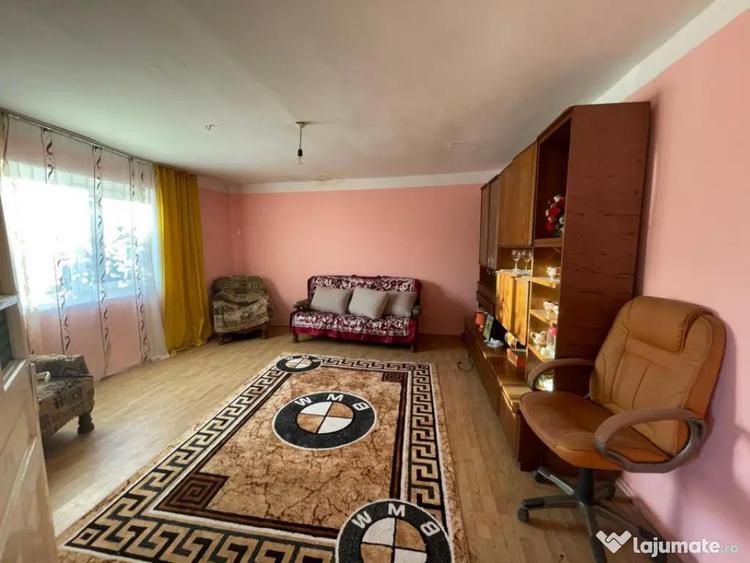 Investitie pentru liniste si oaza de verdeata - 5