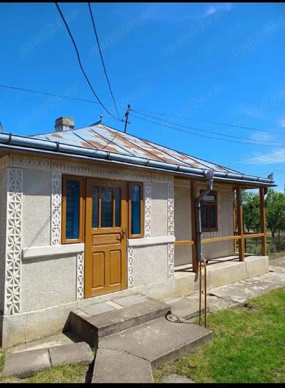 Teren de 250000 mp, în Cristești