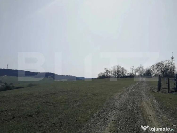 Teren de 15904 mp, în Dâmbu Pietros