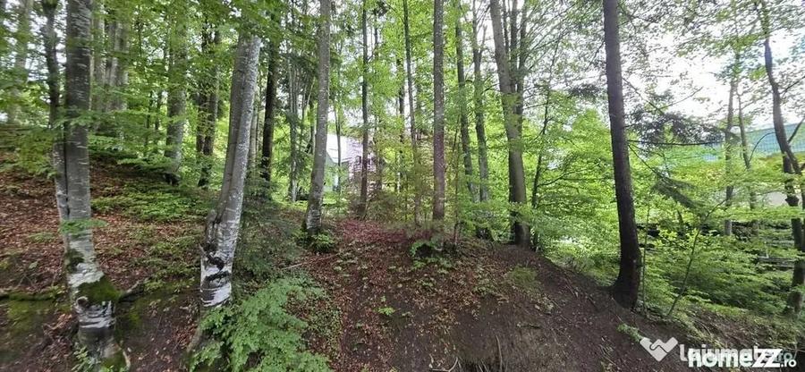 Teren intravilan 720 mp Sinaia - 4
