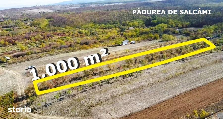 Teren de 1000 mp, în Burdea
