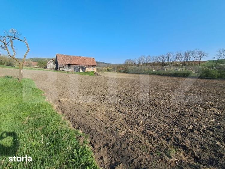 Casă cu 4 camere cu Teren 15000 Mp în Bichiș